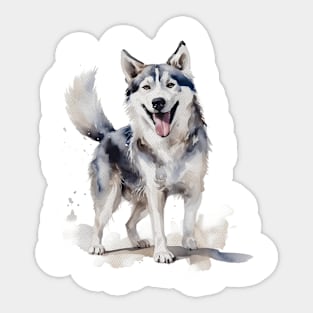 Husky Watercolor Style Sticker